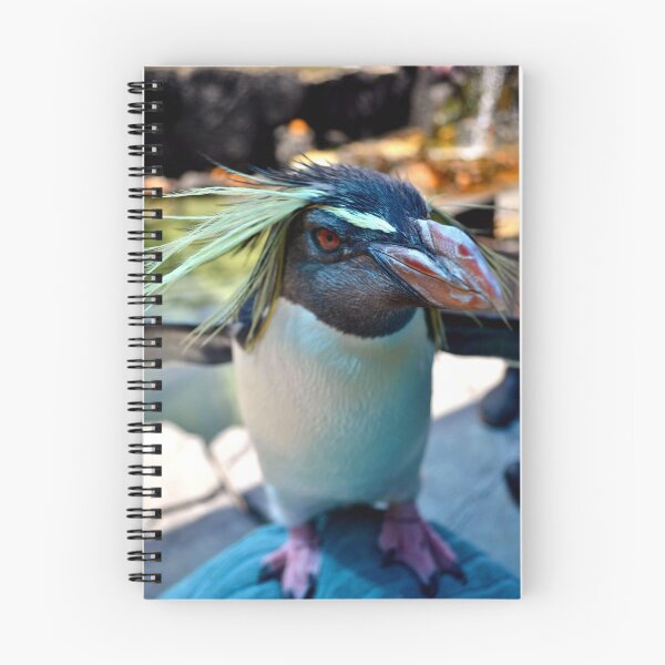 Item preview, Rockhopper Penguin  designed and sold by LorLor88.