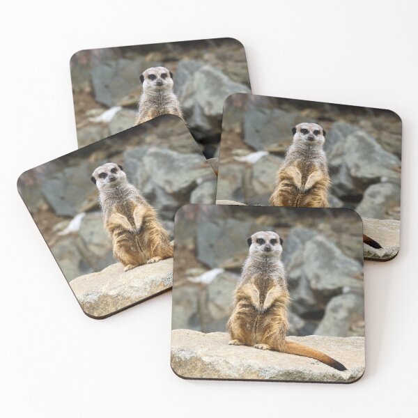 Item preview, Meerkat Manor Standing designed and sold by AmberCamera.