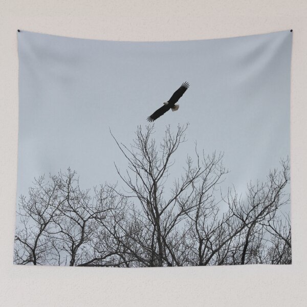 Item preview, Soaring Eagle designed and sold by Susie Kramer.