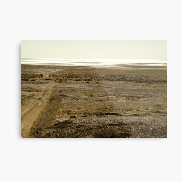 Joe Mortelliti Gallery - Lake Eyre South, South Australia, Metal Print
