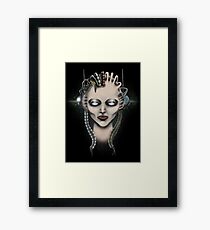 Evolution Framed Print