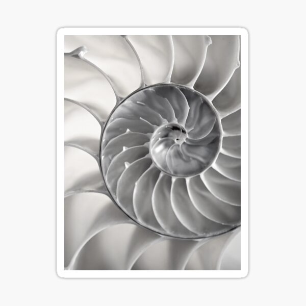 Fibonacci Sticker
