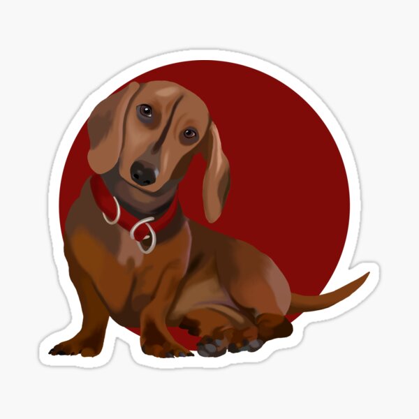 Fun Dauchund dog sitting Sticker