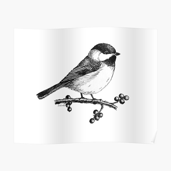 11 Chickadee Tattoo Ideas That Will Blow your Mind  alexie