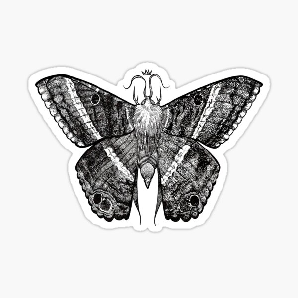 Black Witch Moth  BWM  Ascalapha odorata  Black witch moth Moth tattoo  Moth