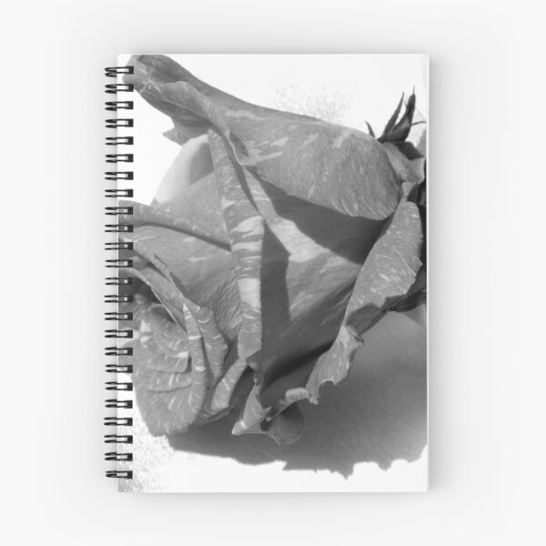 Item preview, Black & White Rose designed and sold by WildestArt.