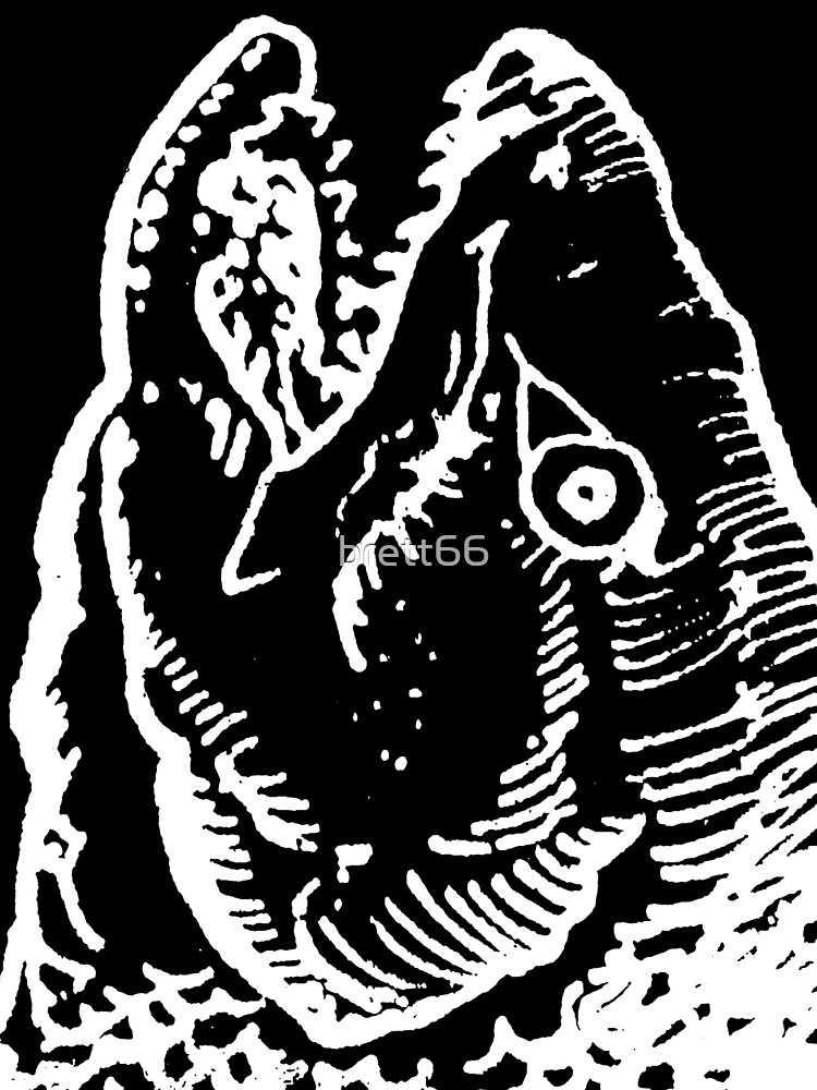 Fish by brett66