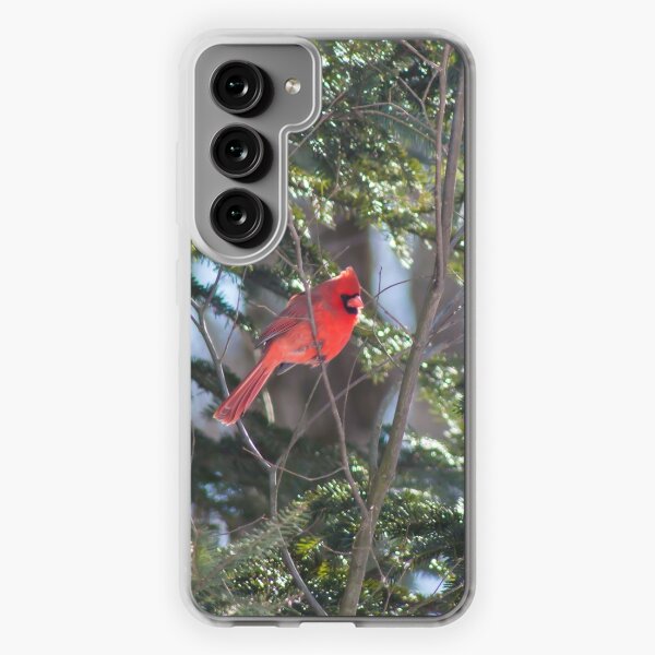 Cardinal Phone Case -  Israel