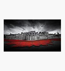 Tower of London Remembers. Photographic Print