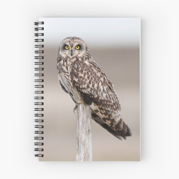 Item preview, Short Eared Owl designed and sold by Ian Hufton.