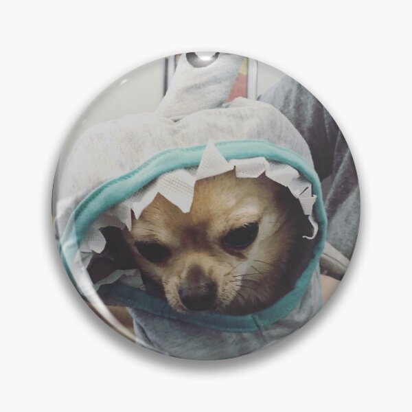 Item preview, The Chihuahua Shark designed and sold by tishisgroot.
