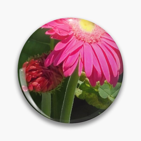 Item preview, Bright Pink Gerbera Daisy designed and sold by AmyzingPrints.
