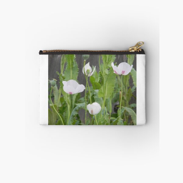 Item preview, Poppy Plants designed and sold by Navigator.