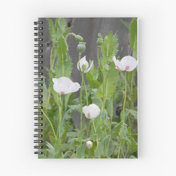 Item preview, Poppy Plants designed and sold by Navigator.