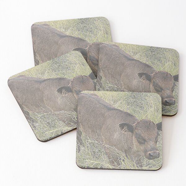 Item preview, LIMOUSIN  CALF IN THE GRASS designed and sold by Opalbluerose.