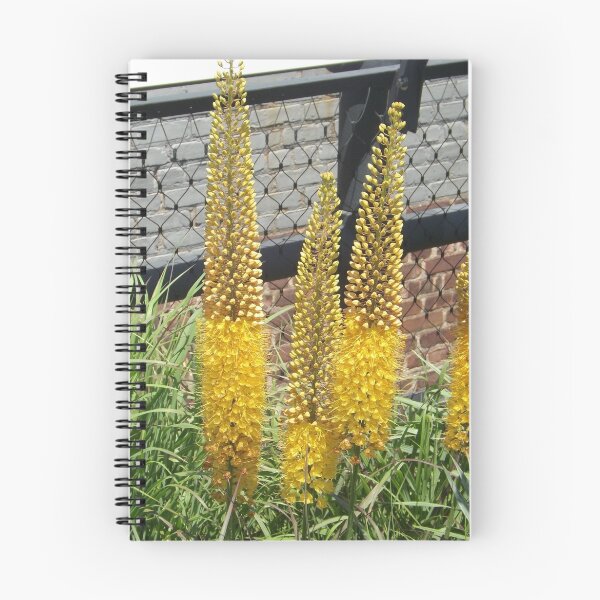 Item preview, Flower Close-Up, High Line, New York City's Elevated Garden and Park designed and sold by lenspiro.