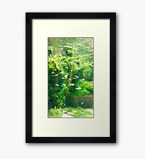 Sweetest Fish Framed Print