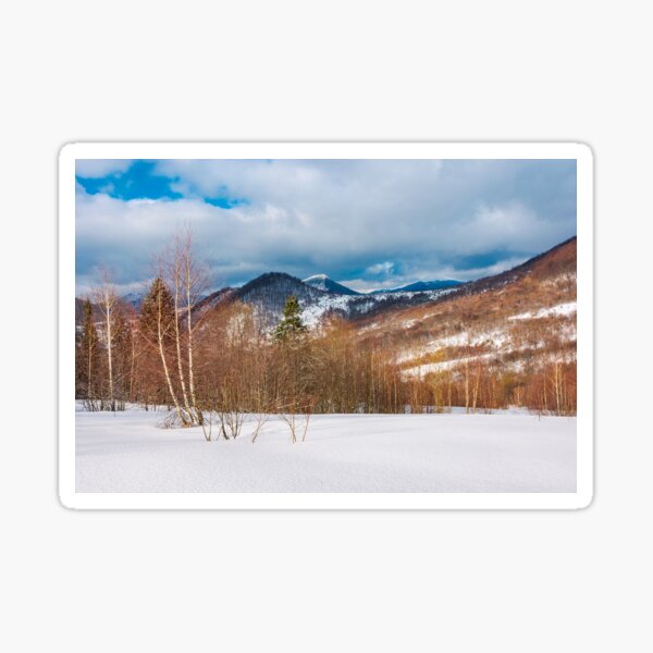 winter landscape of Uzhanian National Nature Park Sticker