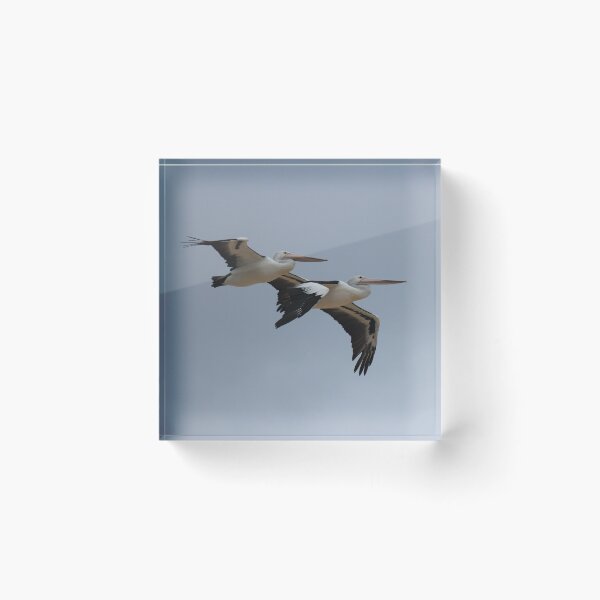 Item preview, Pelican Pair designed and sold by KazM.