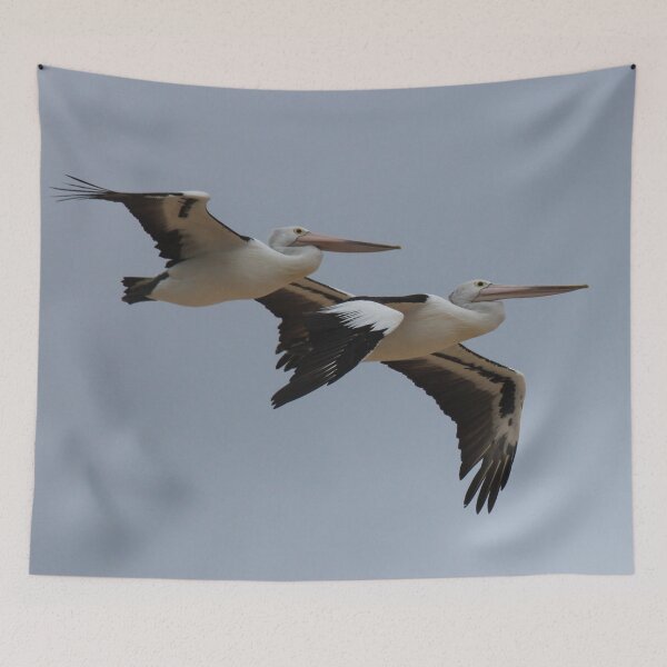 Item preview, Pelican Pair designed and sold by KazM.