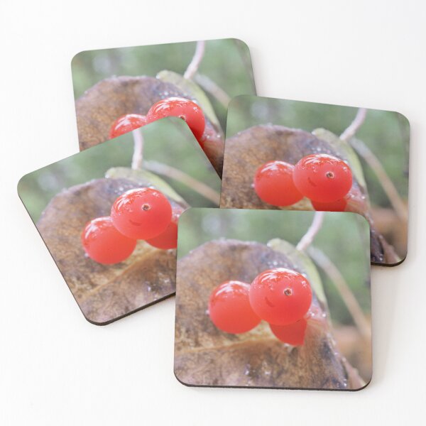 Item preview, Western trumpet honeysuckle (Lonicera ciliosa) berries designed and sold by SDym Photography.