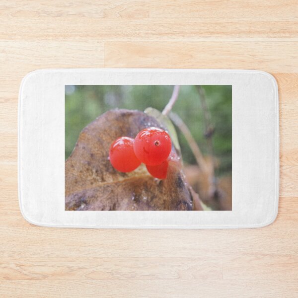 Item preview, Western trumpet honeysuckle (Lonicera ciliosa) berries designed and sold by SDym Photography.