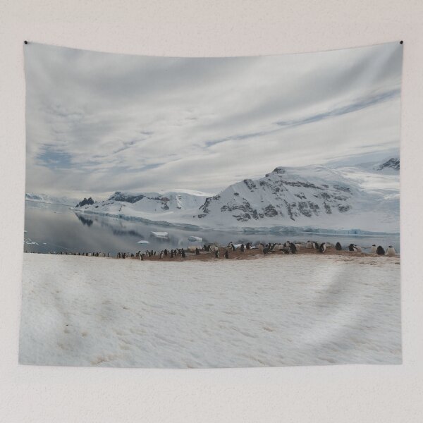 Item preview, Danco Island, Antarctica designed and sold by Mark Prior.
