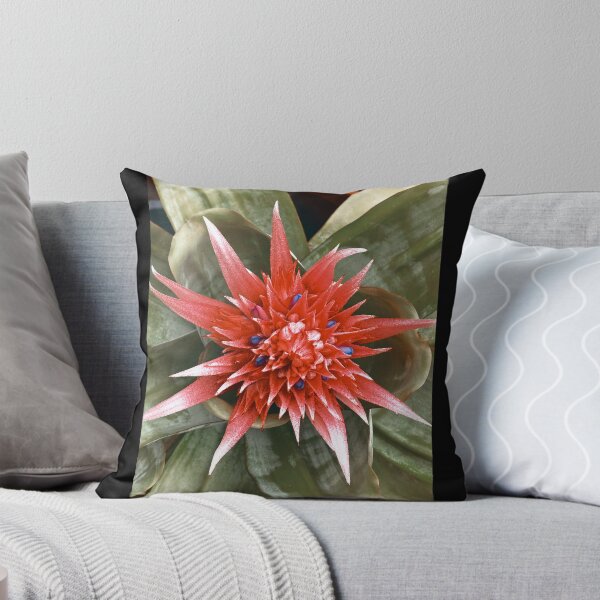 Item preview, Floración de bromelias designed and sold by PricksandPlants.