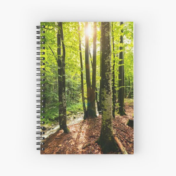 sunlight in summer forest Spiral Notebook