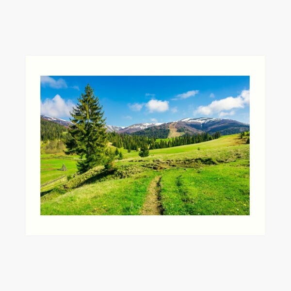 wonderful springtime weather in mountains Art Print
