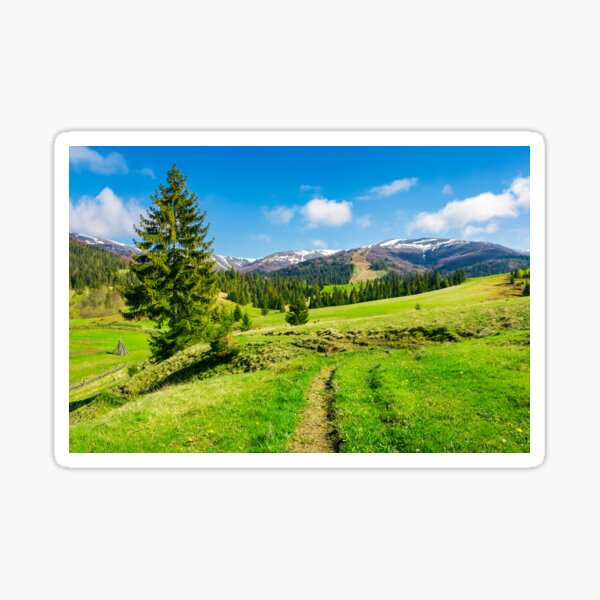 wonderful springtime weather in mountains Sticker