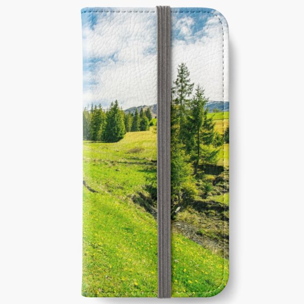 wonderful springtime weather in mountains iPhone Wallet