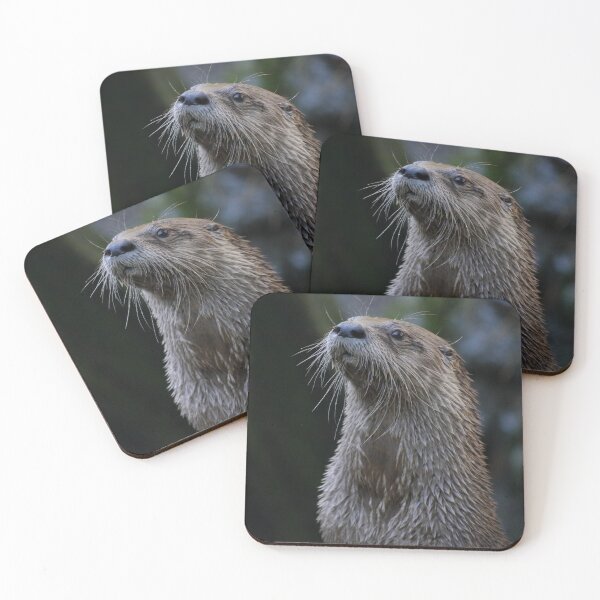 Item preview, Scottish Otter designed and sold by Callum Ogden.