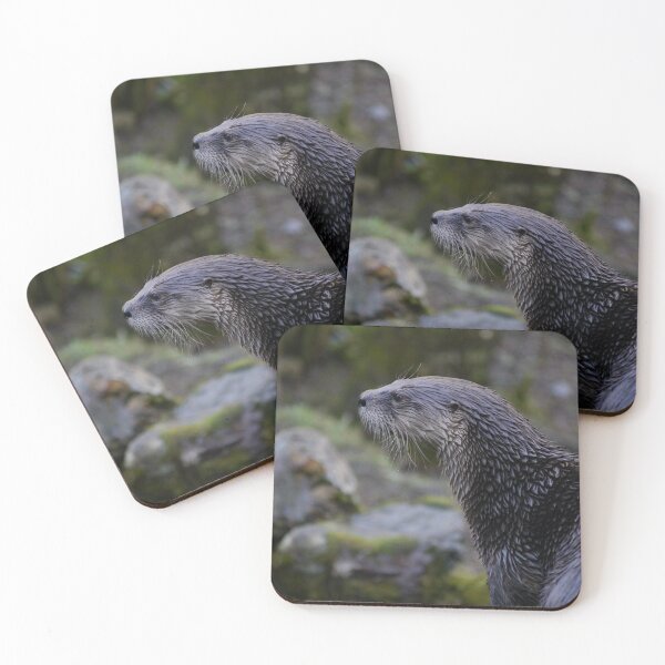 Item preview, Scottish Otter designed and sold by Callum Ogden.