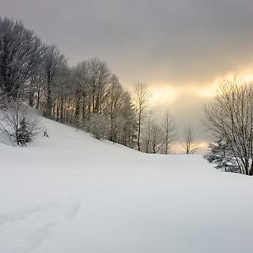 Artwork thumbnail, gorgeous winter sunrise in mountains by mike-pellinni