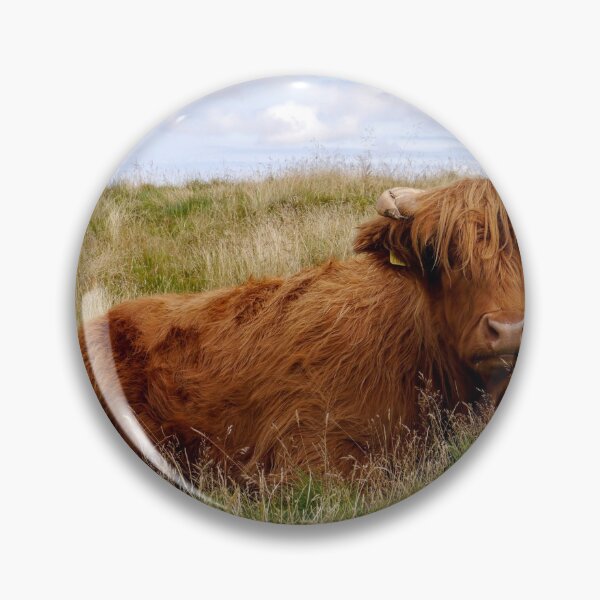 Item preview, Highland Cow  designed and sold by Callum Ogden.