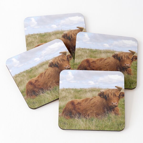 Item preview, Highland Cow  designed and sold by Callum Ogden.
