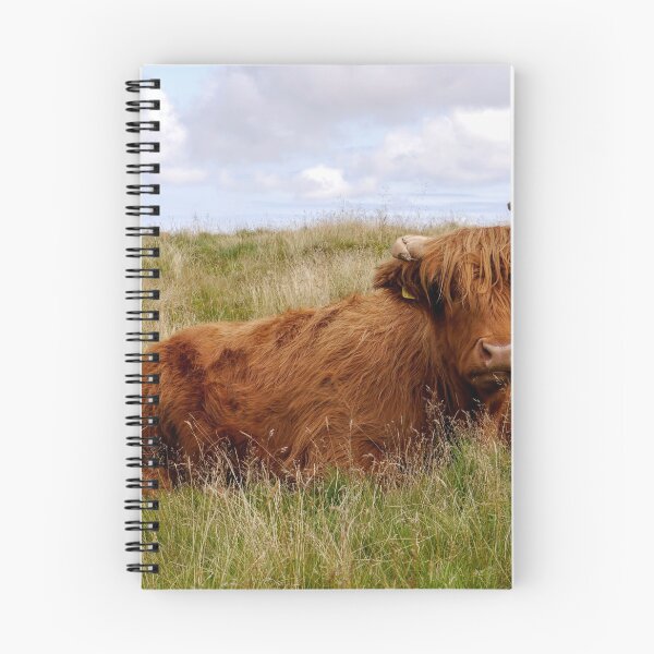 Item preview, Highland Cow  designed and sold by Callum Ogden.