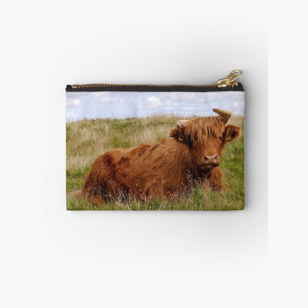 Item preview, Highland Cow  designed and sold by Callum Ogden.