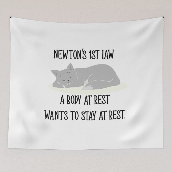Item preview, Newton's First Law designed and sold by ariaarti.