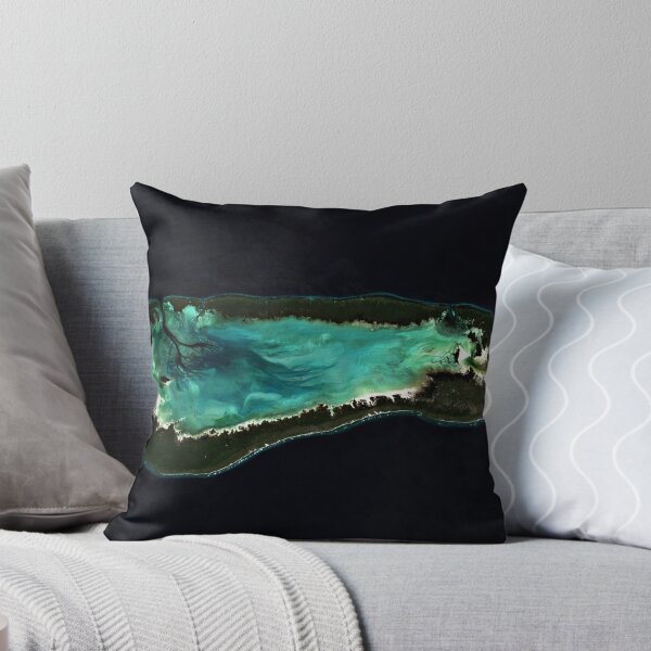 Aperçu de l'œuvre Atoll d'Aldabra créée et vendue par Intrepix.