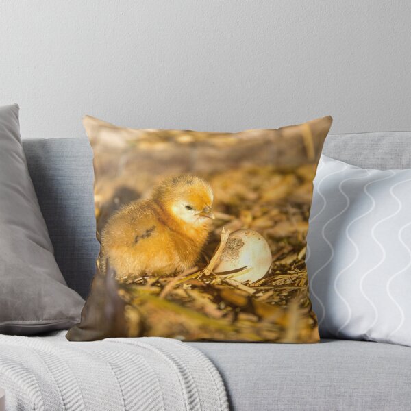 Item preview, Just Hatched... designed and sold by mitpjenkeating.