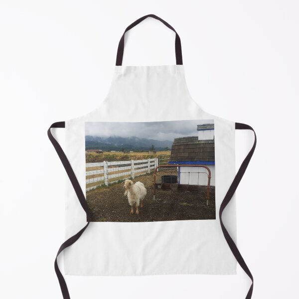 Item preview, Billy's Backyard: Oregon Coast designed and sold by 21feathers.