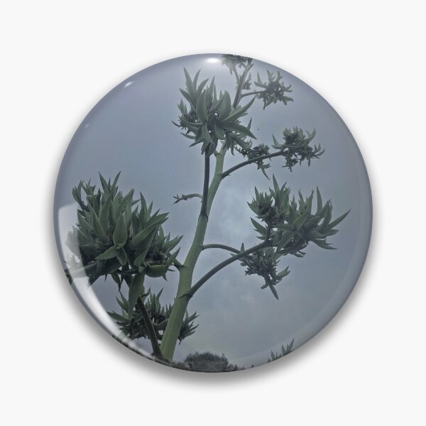 Item preview, Prickly Plant designed and sold by KazM.