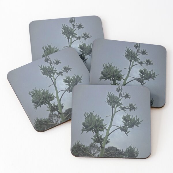 Item preview, Prickly Plant designed and sold by KazM.