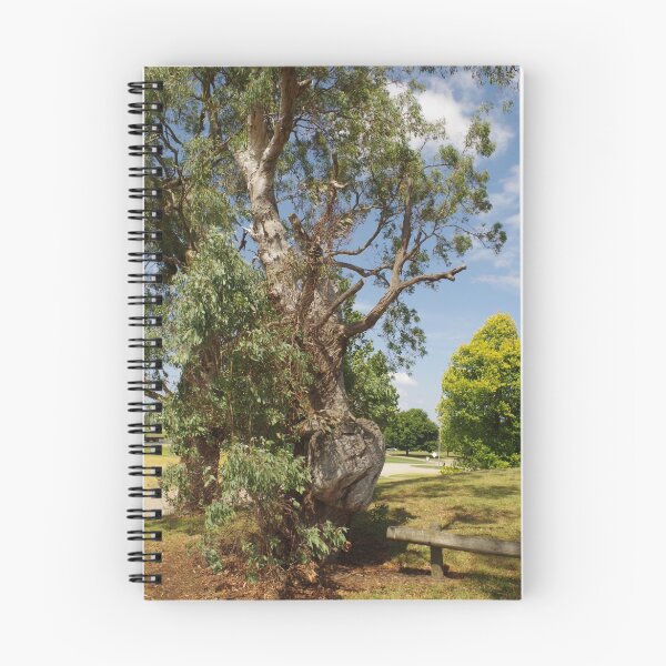 Item preview, lumpy bumpy tree designed and sold by Paul Chubb.