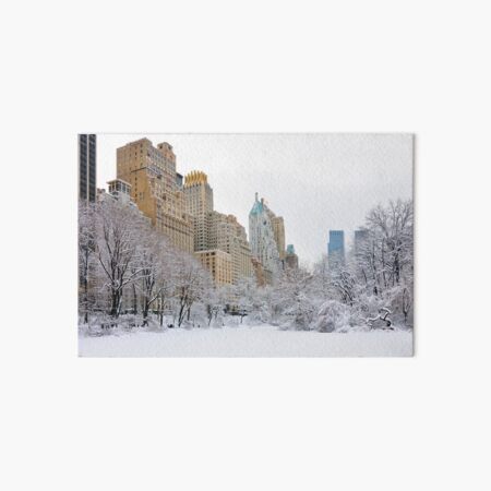Artikel-Vorschau von Central Park Süd - New York, designt und verkauft von Yannick Verkindere.