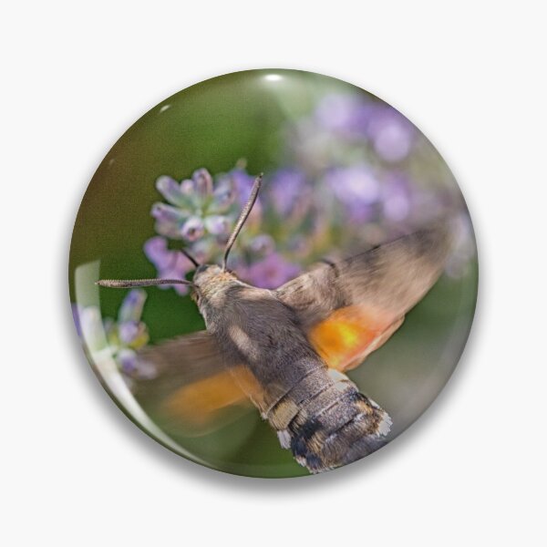 Item preview, Hummingbird moth designed and sold by Photopat.