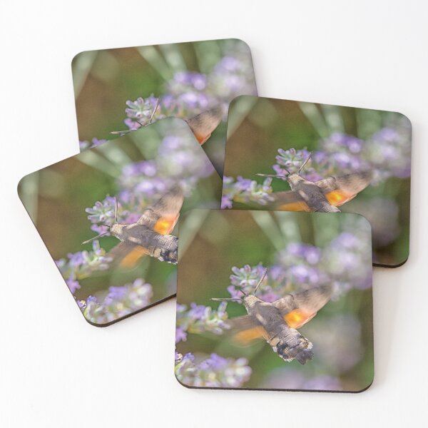 Item preview, Hummingbird moth designed and sold by Photopat.
