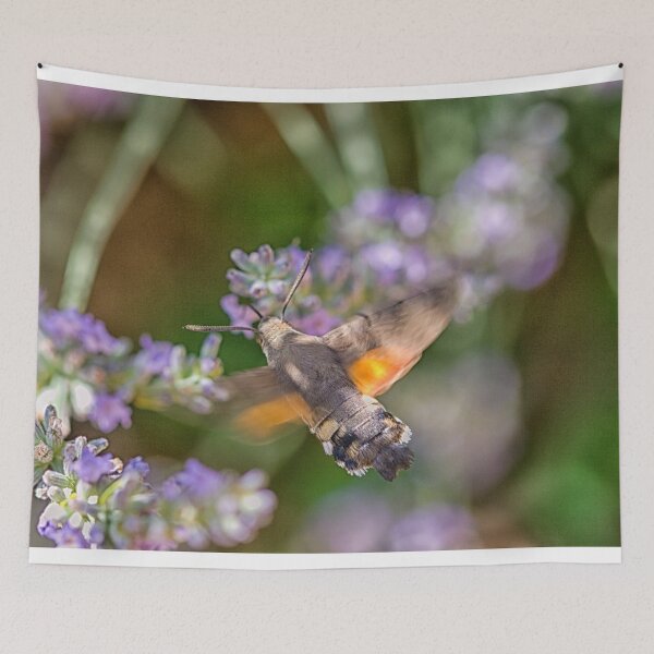 Item preview, Hummingbird moth designed and sold by Photopat.